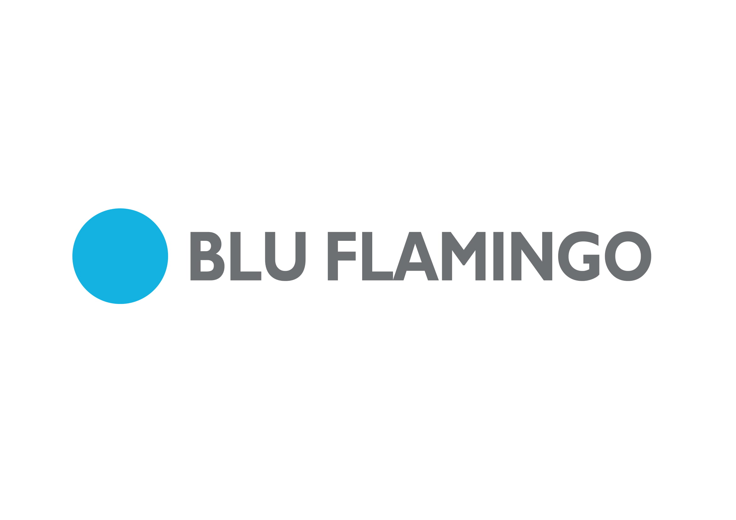 logo bluflamingo-1